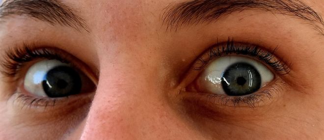 Les progrès d'Emma - 𝗔𝗰𝗰𝗼𝗺𝗽𝗮𝗴𝗻𝗲𝗺𝗲𝗻𝘁 𝗣𝗛𝗢𝗕𝗜𝗘 𝗗𝗘𝗦 𝗖𝗛𝗜𝗘𝗡𝗦