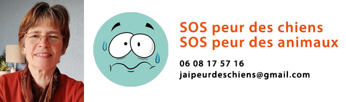 SOS peur des chiens (cynophobie) ou d'un autre animal avec Véronique Valy